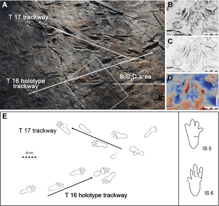 ֵ㼣ʯ˫ߵִ ֮ǰΪǾ㼣