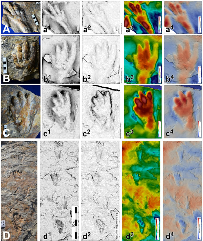 ֵ㼣ʯ˫ߵִ ֮ǰΪǾ㼣