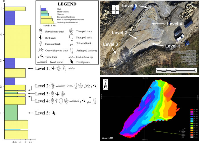 ֵ㼣ʯ˫ߵִ ֮ǰΪǾ㼣