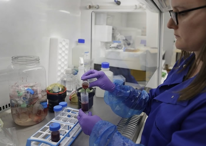 оԱΪ¹ڲѲͻ ׸Ⱦϸ