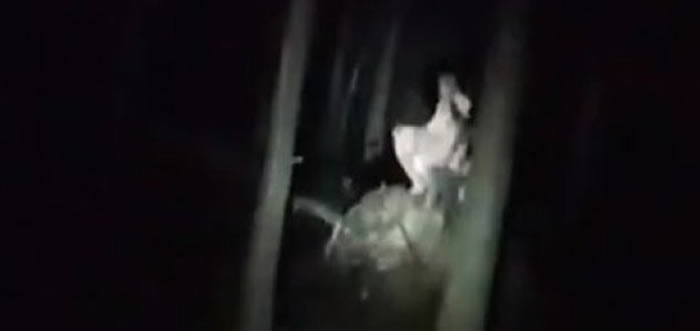 ������YouTube�û�Leviathan��ҹ�ڴ������ĵ�������Ƶ