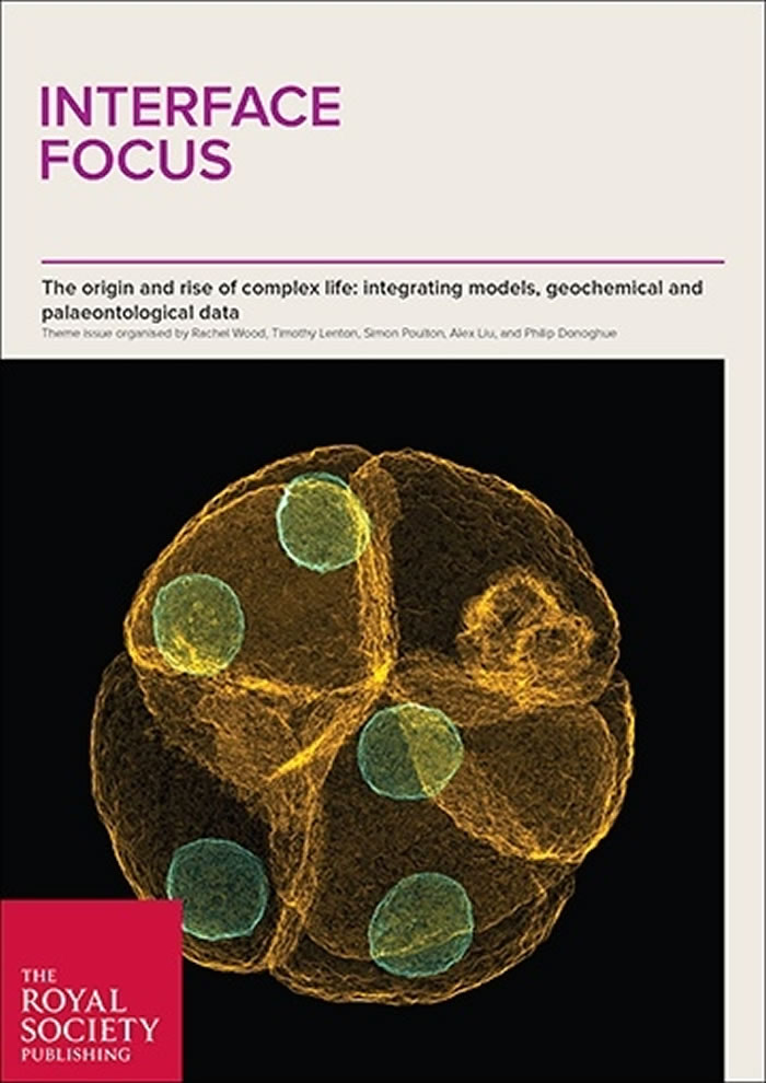 论文登上了杂志封面