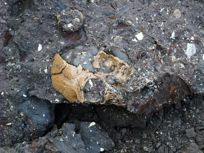 ����ͼ����ͨ��Գͷ�ǻ�ʯ