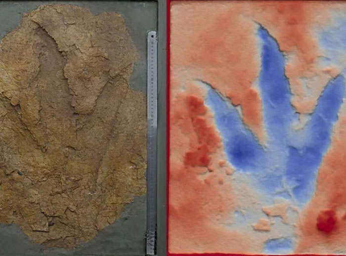 оͨʿúзֵ㼣ʯȷڰĴǷʳԿ