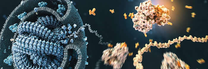 ���������ʷ�����Ⱦţ�ƶ������Ե�����ֿ���ʱ���Ŀǰ���Ƶ�ʱ����1400��