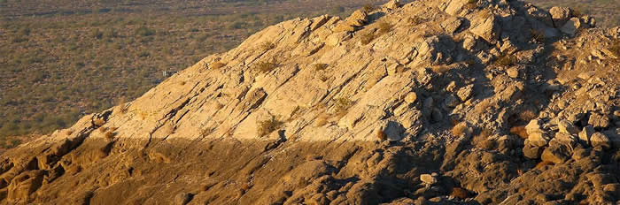 2��2000��΢С������Ͷϲ��3D���νṹ��Ⱥ��������ݱ�