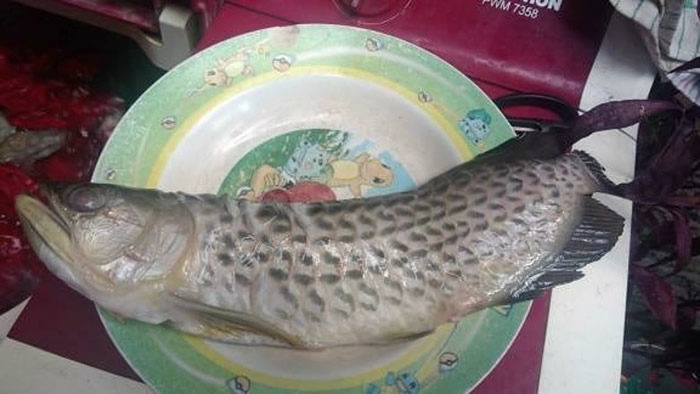 ӡצһ۹㡰顱 иչ˲ұըӲˡ