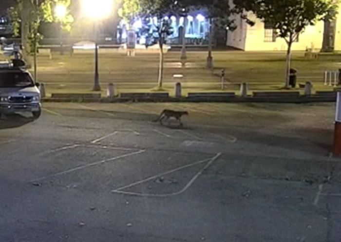 ��������������ʨ��ͷ��û ����2�պ��ղ���