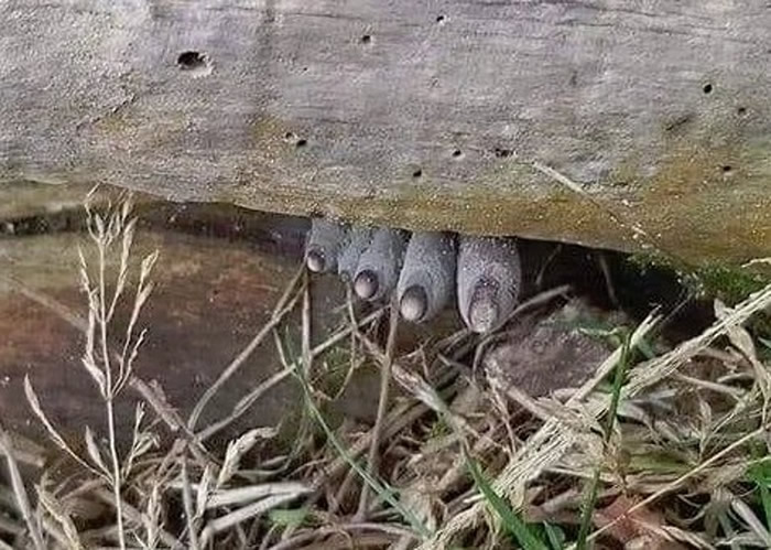 ӡּ䡰ֲֺŻ ԭϵڸľϵҰ̿Ǿ