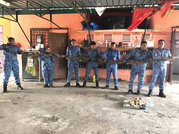 ڴɨԼҺԺʱֳ5ߵĴ ߶ڻ50ߵ