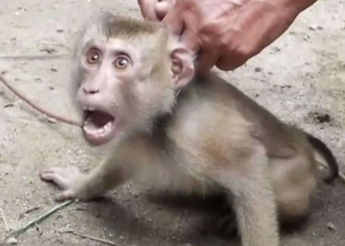 ̩��ũ��������β⨺�������ժҬ�ӡ�