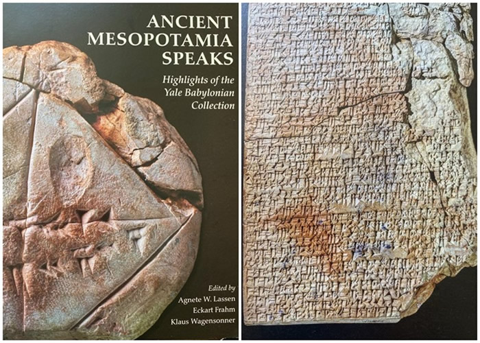 ���������������ǻ��h�����е�ʳ���Ƿ���Ш�����������ɡ�