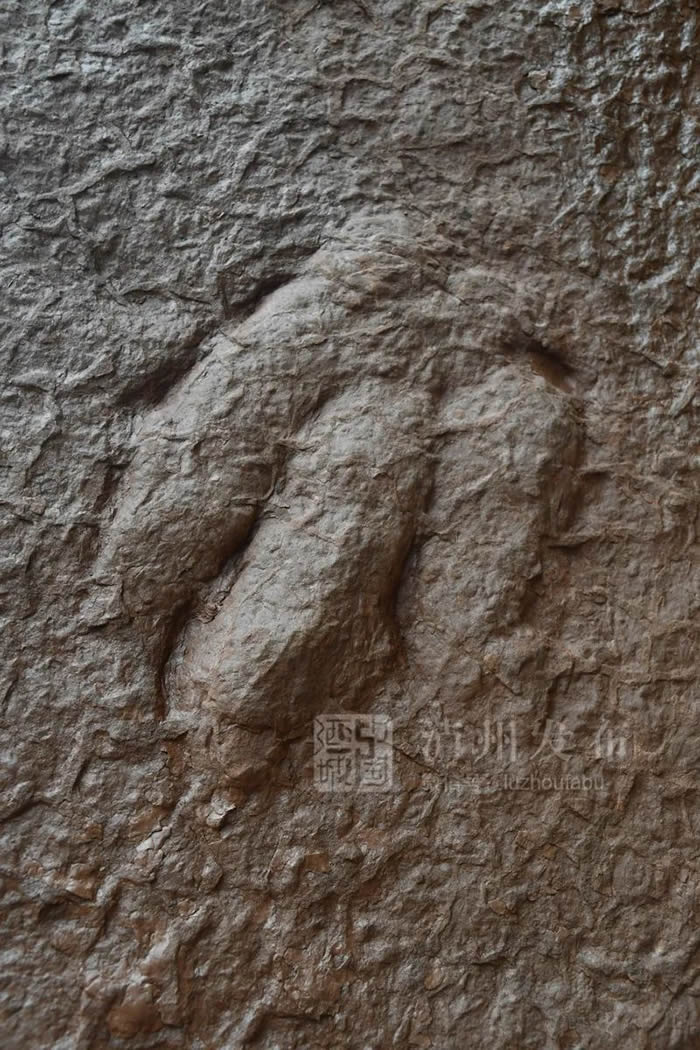 Ĵݹӵؽӡʯ רңΪѼʵ㼣