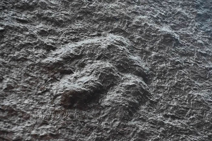 Ĵݹӵؽӡʯ רңΪѼʵ㼣