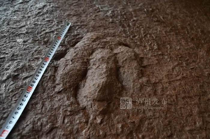 Ĵݹӵؽӡʯ רңΪѼʵ㼣