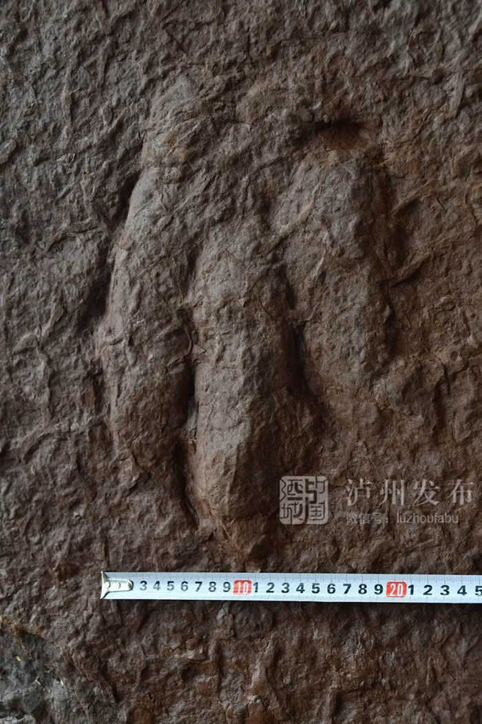 Ĵݹӵؽӡʯ רңΪѼʵ㼣