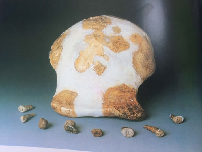 新测年法重新定位沂源猿人化石:年代是64±8万年