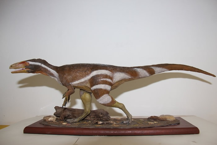 Ʒ֡Aratasaurus museunacionali й½Եϵ