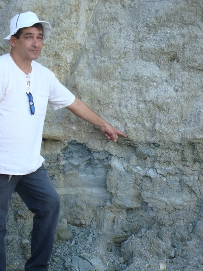 Ʒ֡Aratasaurus museunacionali й½Եϵ