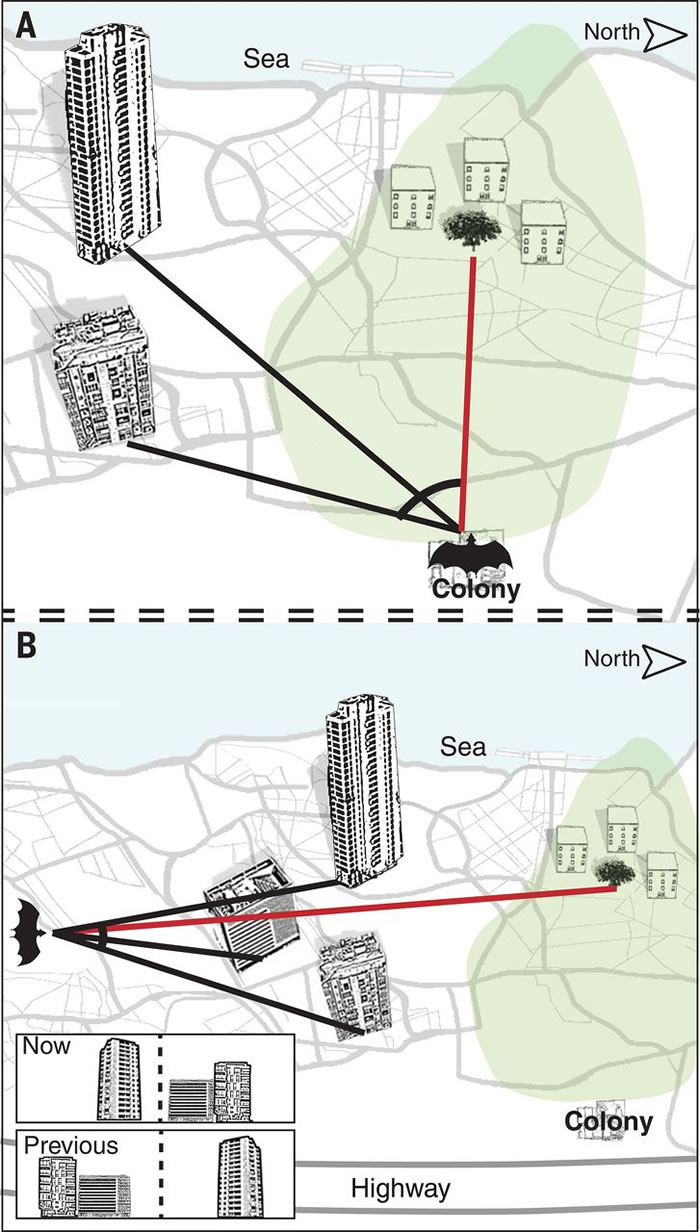 ����������������ƵĿռ�������� �ܽ�������֪��ͼ�����Դ˵���