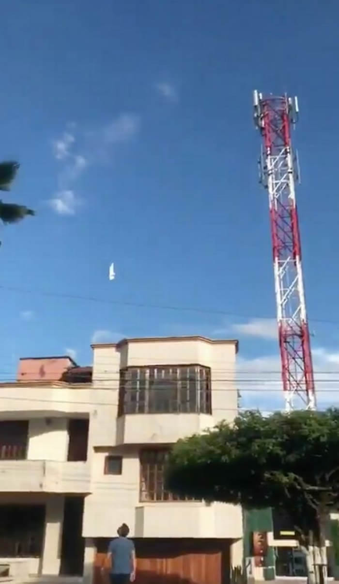 ���ױ���ͼ¬����һֻ���ӻ������ر��������ڿ���