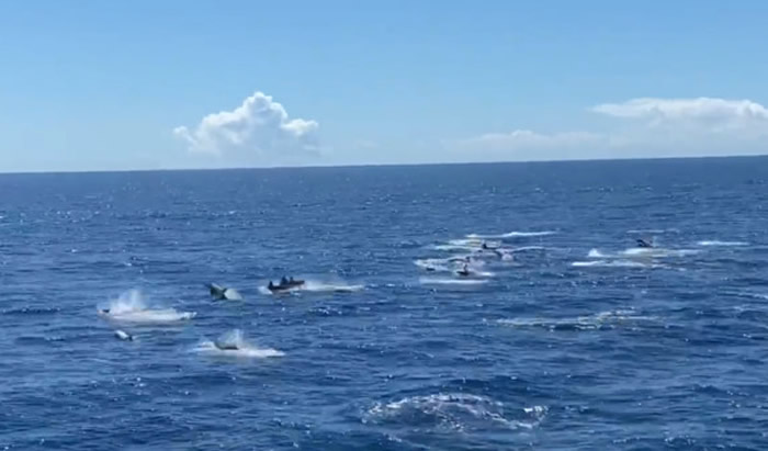 ̨쾰㡰ţ̺򡱳ǧֻ1Ծˮ׳澰