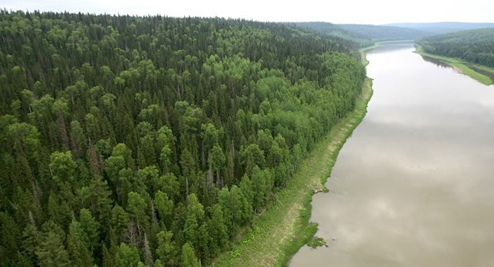联合国粮食及农业组织:自1990年以来地球损失了1.78亿公顷的森林