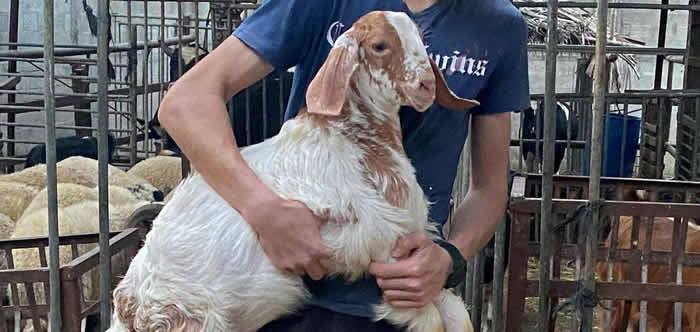 ӡȱնеľһֻδɽ