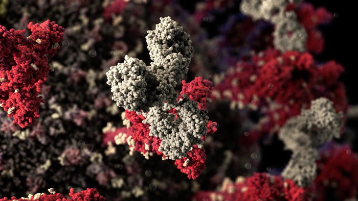 ʹкͿ壨ɫ֮ЩǰھͻԸڲϵķʽ赲 Ϊ磬Ǳ˽ⲡŴṹӽṹMODEL AT