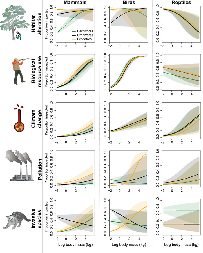 食草动物在更新世晚期至今一直遭受着最大的灭绝威胁
