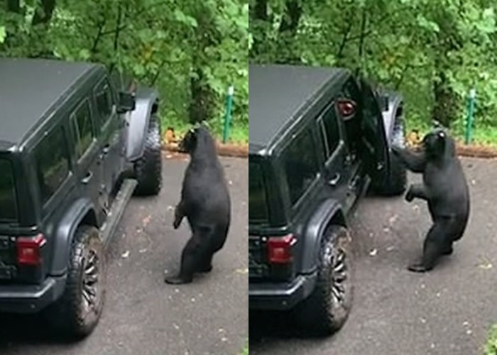 ���������������ӷ��ֺ��ܾ������������ĳ� ��ѵ��С�����Ǻ���