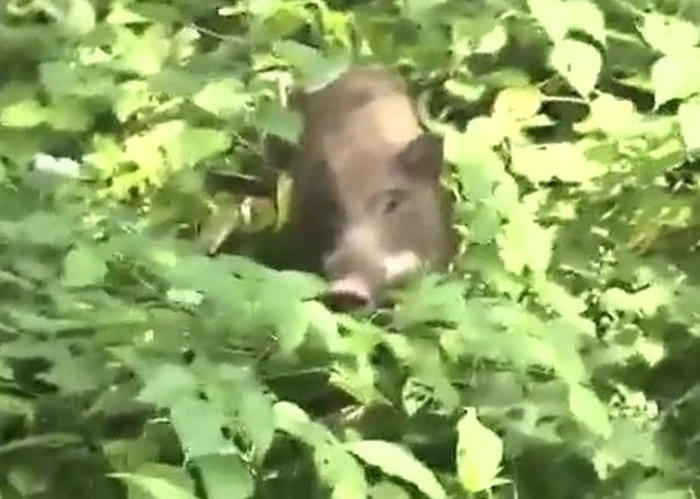 ձд婹԰첶Ұ漤ƹŻϷ