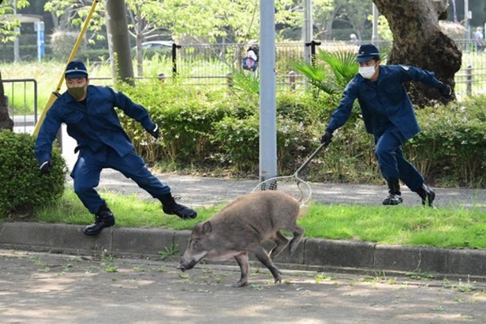 ձд婹԰첶Ұ漤ƹŻϷ