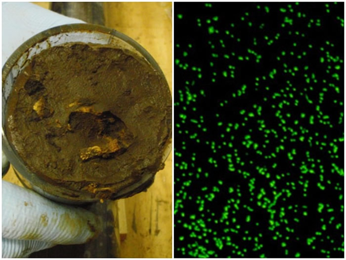 ����������з��ִ���1.015�����ʷǰ΢���� ʵ�����ڳɹ���֮�����ѡ�