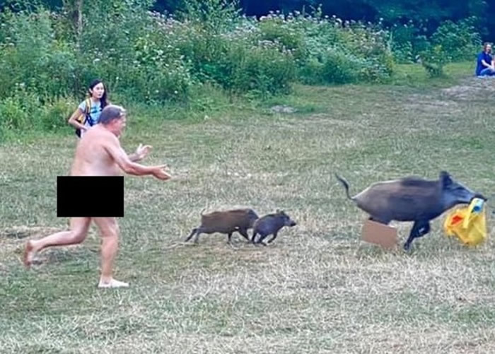 德国首都柏林大区魔鬼湖湖畔野猪偷手提电脑 天体浴男子裸奔追猪