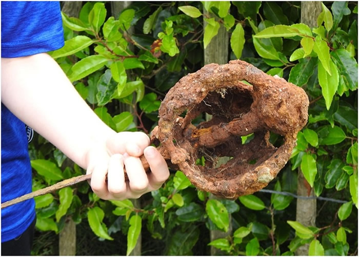 Ӣ����������10����ͯ��������̽������Ϊ�������� С��ţ����Ѱ��300��Ž�