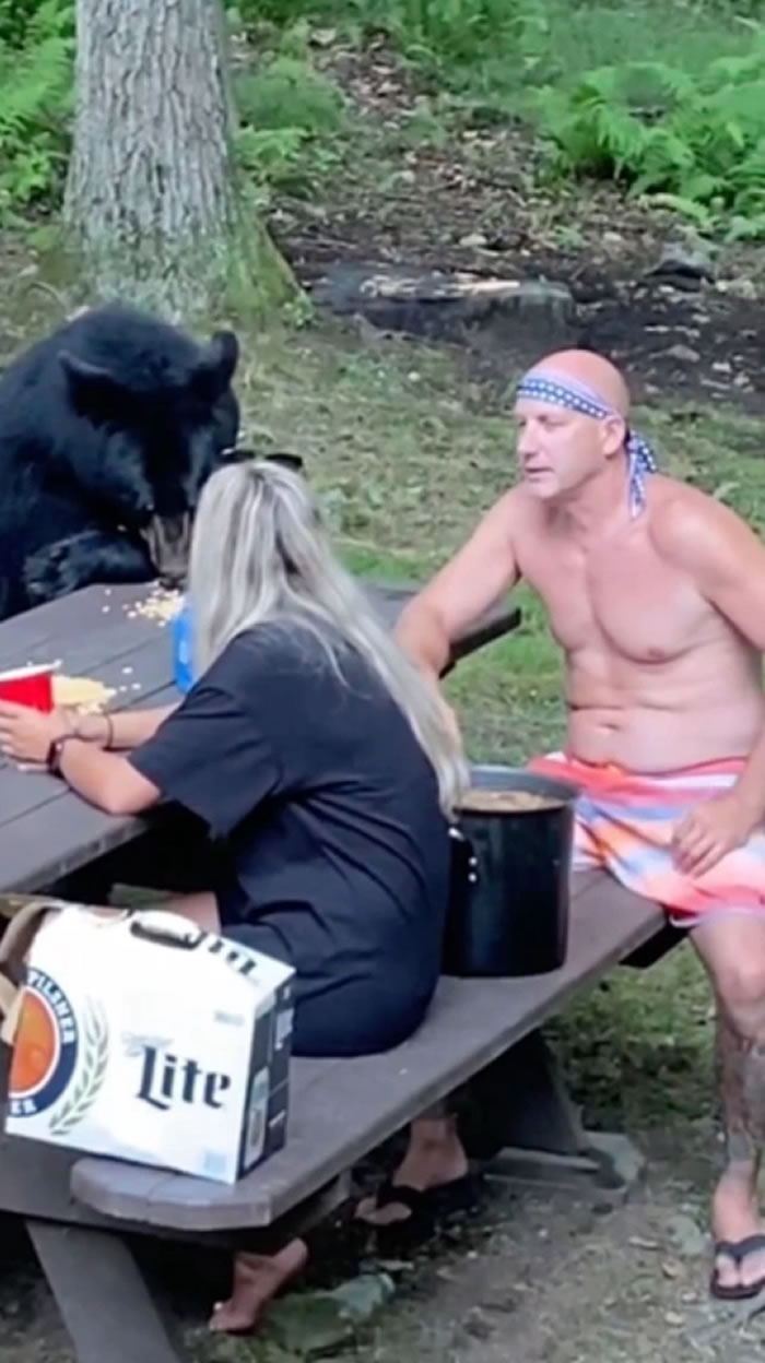 �������������ο������ָ���Ұ�� һֻ���ܼ�����������ʳ��