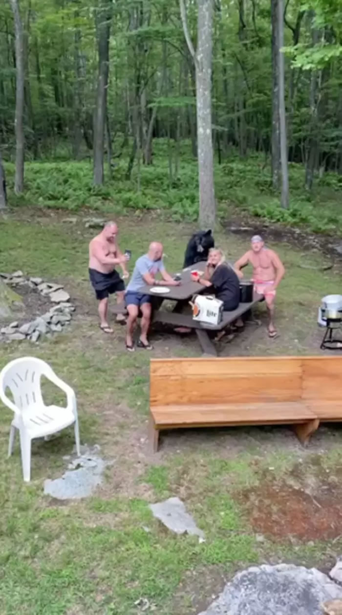 �������������ο������ָ���Ұ�� һֻ���ܼ�����������ʳ��