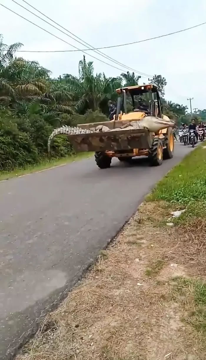 ӡ�������ﶴʡ50����������㱻������Ϊ�ǡ���ħ�Ļ�������ն��֫��