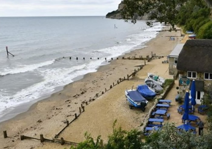 英国怀特岛出土与暴龙同属兽脚亚目恐龙的新物种Vectaerovenator inopinatus