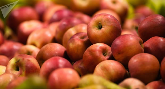 俄罗斯内分泌科医生扎琳娜·古索娃:过量食用苹果对肥胖人群和糖尿病患者不安全