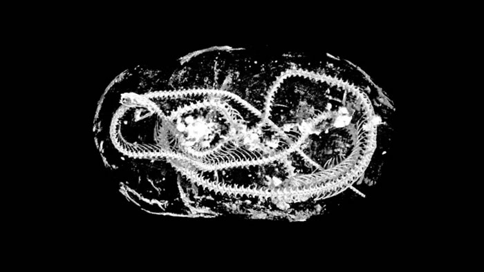 ʿ˹ѧоԱø߿ƼҿŴľɴ