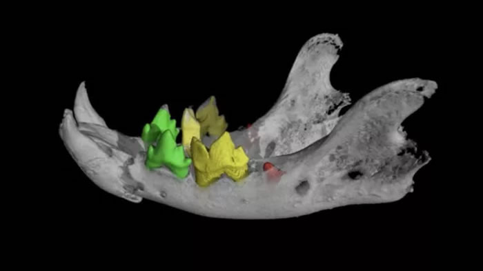 ʿ˹ѧоԱø߿ƼҿŴľɴ