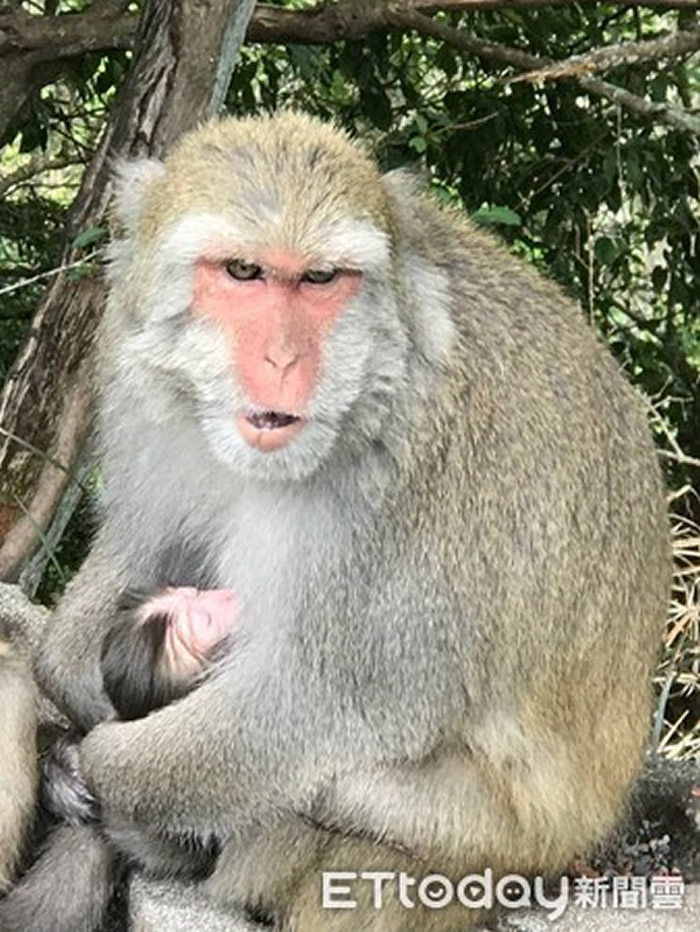 ̨ɽҹһֻ׺⵽ײ ⨺豧ʬ峤54ҹ