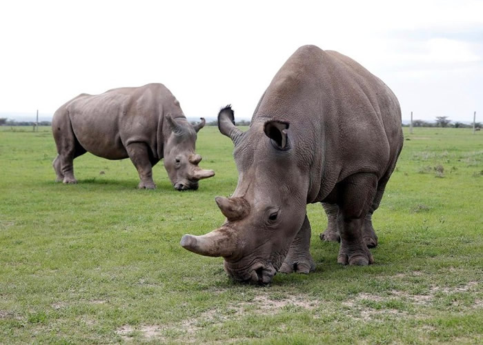 ������Ϭţȫ�������ֻ �����Ŷ�ȡ���䶳����