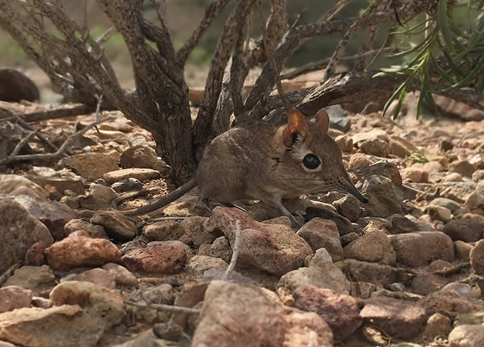 ϡ������������50������֡�����֮�ǡ����ǹ��Ҽ�����