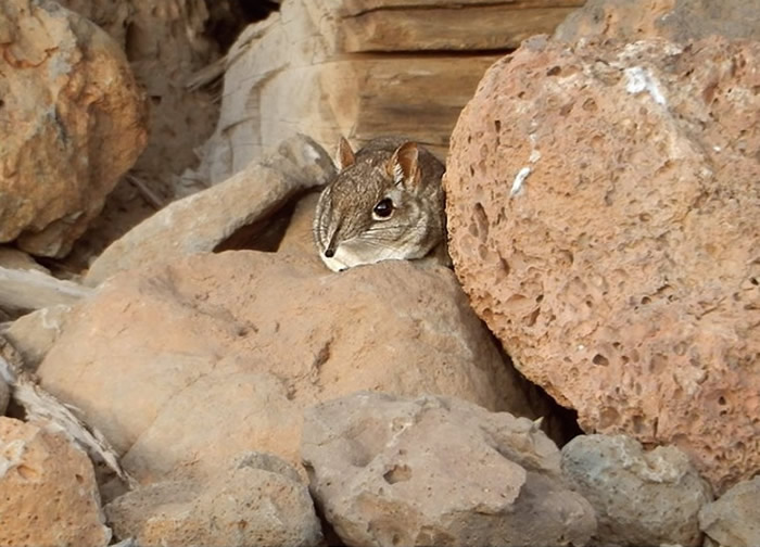 ϡ������������50������֡�����֮�ǡ����ǹ��Ҽ�����