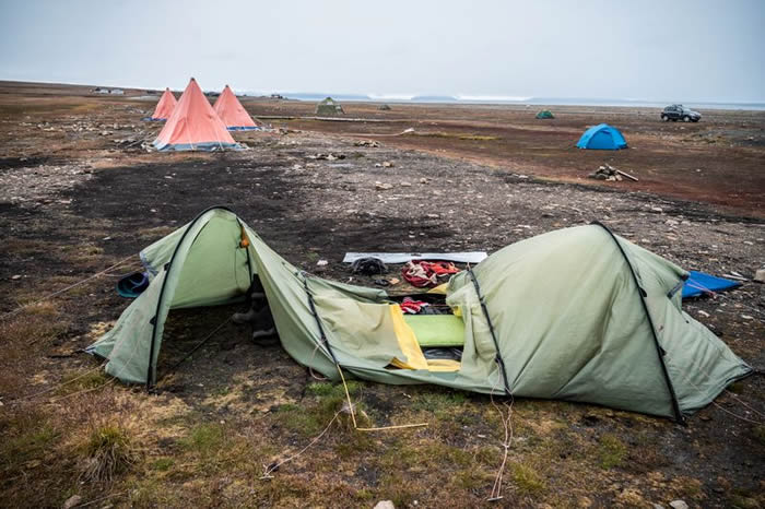 50������6�𣡺����ο͵�Ų��˹�߰�Ⱥ��¶Ӫ���ⱱ����˺ҧ����