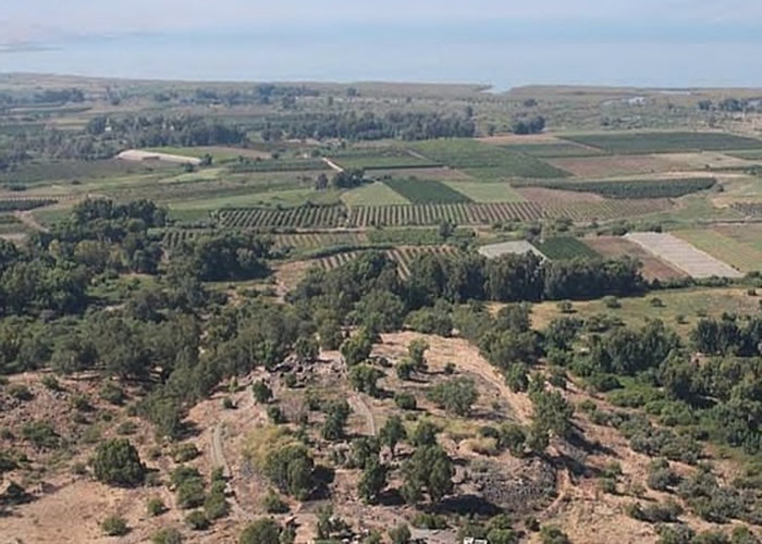 �о�ָ������̩���ż��ǲ���������ڵء�