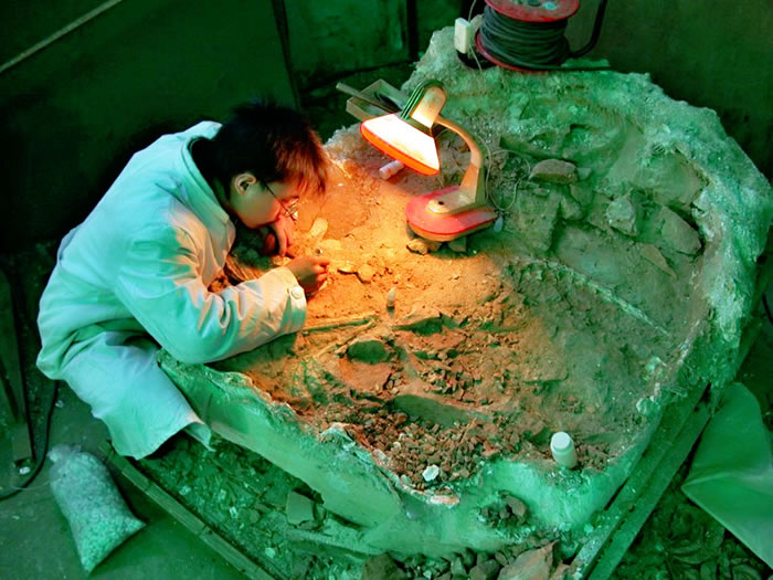 北京动物园不远处藏着亚洲最大“侏罗纪公园”